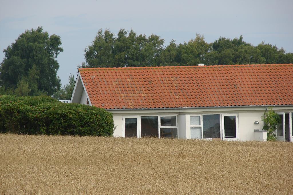 Sandkaas Family Camping & Cottages 알링에 객실 사진